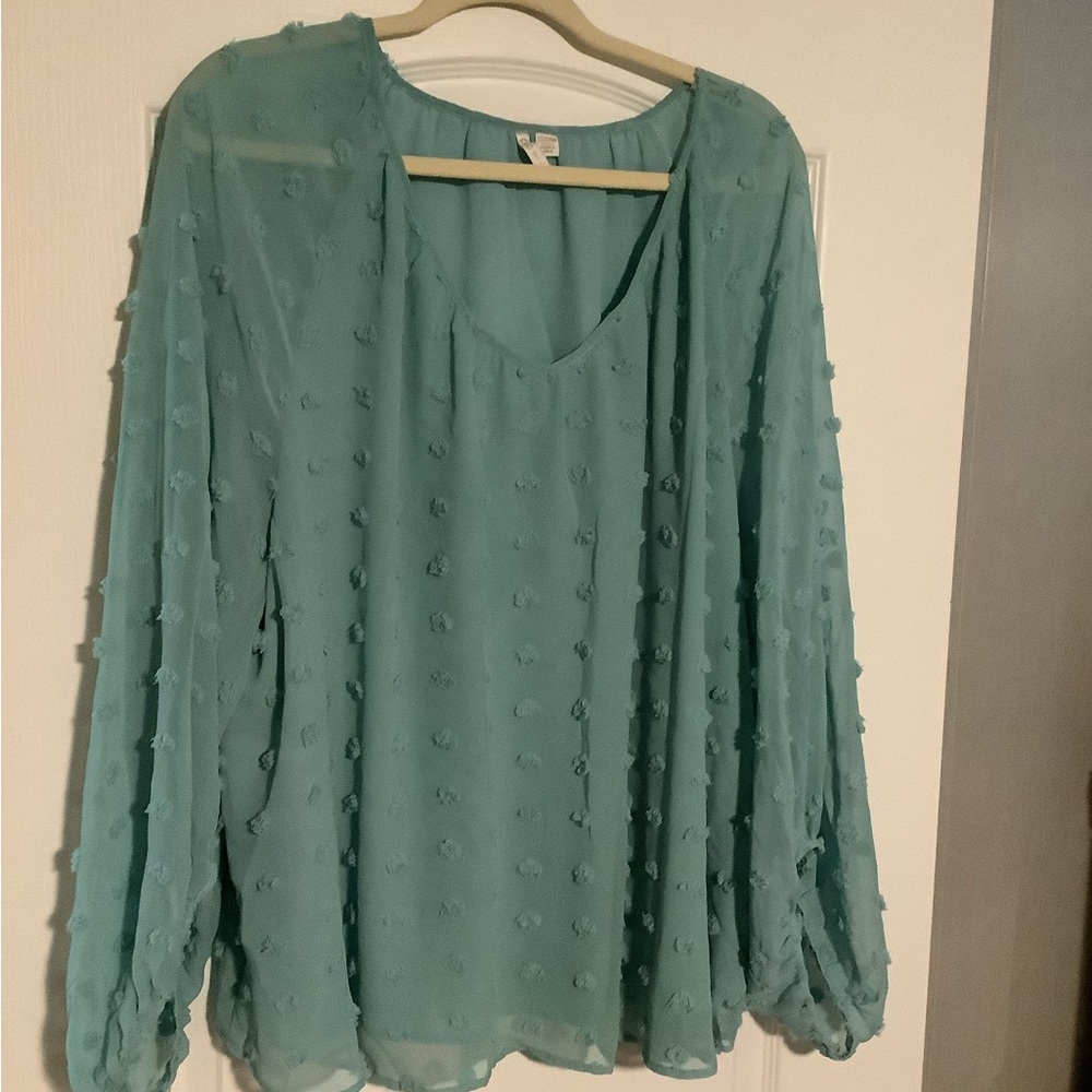 Teal or Navy Blouse by Cato’s
